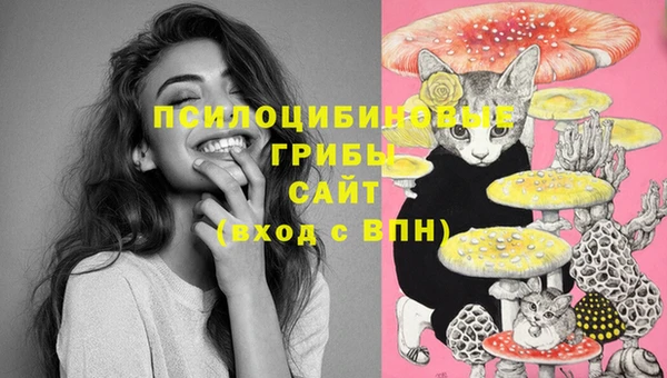 Альфа ПВП Аркадак