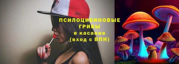 Альфа ПВП Аркадак