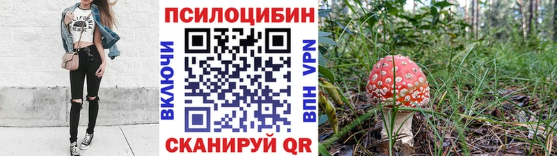 нарко площадка состав  mega ССЫЛКА  Сунжа  дарнет шоп  Псилоцибиновые грибы Psilocybe 