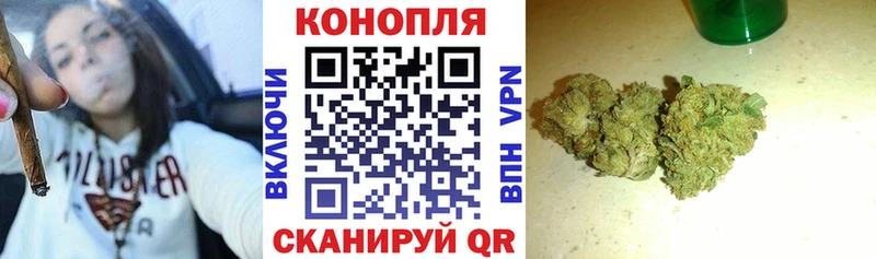 хочу   Сунжа  Бошки Шишки тримм 